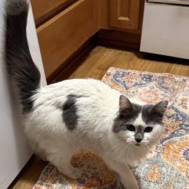 Photo for 157287 [fr157287]