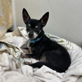 Photo for 157296 [382685]