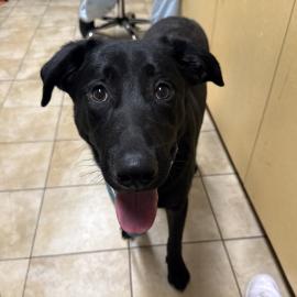 Photo for 157299 [382687]