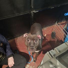 Photo for 157310 [fr157310]