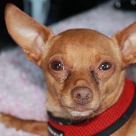 Photo for 157312 [Tubby]