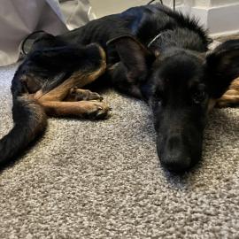 Photo for 157318 [fr157318]