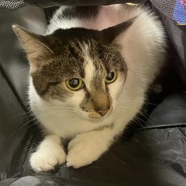 Photo for 157326 [382698]