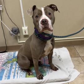 Photo for 157331 [382700]