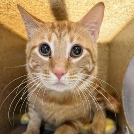 Photo for 157343 [382706]