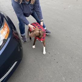 Photo for 157356 [fr157356]