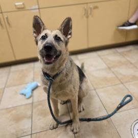 Photo for 157543 [383394]