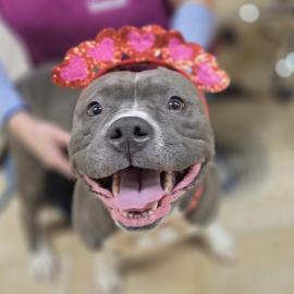 Photo for 157720 [Emily Rose]