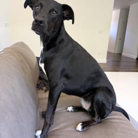 Photo for 157814 [Ginny]