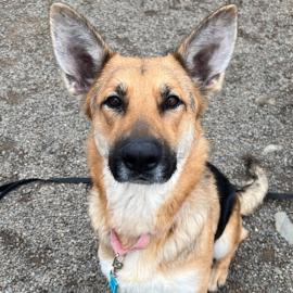 Photo for 157828 [383888]