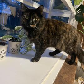 Photo for 157991 [Annabelle]