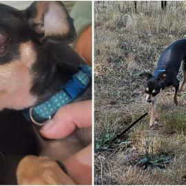 Photo for 158029 [ANGEL]