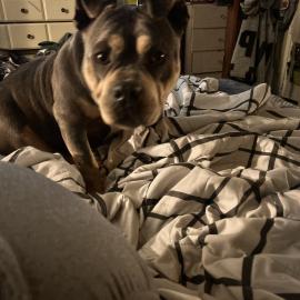 Photo for 158077 [fr158077]