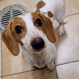 Photo for 158083 [384298]