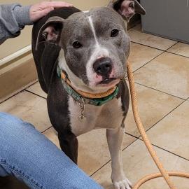 Photo for 158090 [384305]