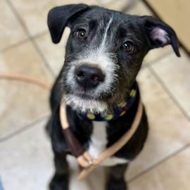 Photo for 158094 [Marbles]