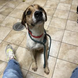 Photo for 158102 [Chase]