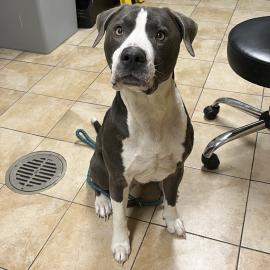 Photo for 158106 [Kingston]