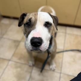 Photo for 158110 [384316]