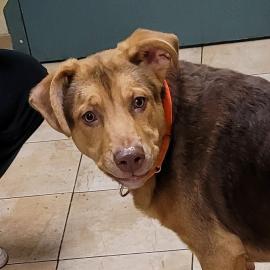 Photo for 158116 [Solo]