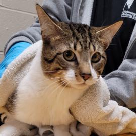 Photo for 158122 [No Name]