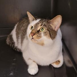 Photo for 158124 [384314]