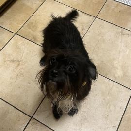 Photo for 158130 [384325]