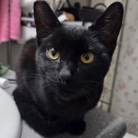 Photo for 158147 [fr158147]