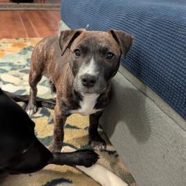 Photo for 158151 [fr158151]