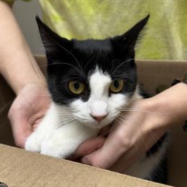 Photo for 158184 [384362]