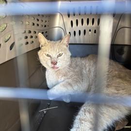 Photo for 158228 [384577]