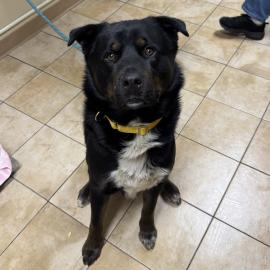 Photo for 158234 [384606]