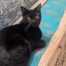 Photo for 158257 [Star]