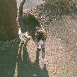 Photo for 158313 [fr158313]