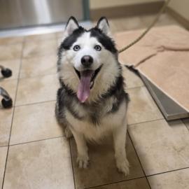 Photo for 158319 [Luscious]