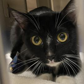 Photo for 158342 [Bubbles]