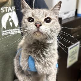 Photo for 158357 [384818]