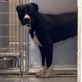 Photo for 158391 [384943]