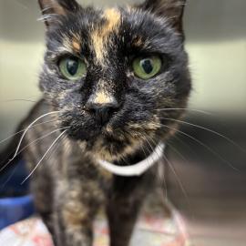 Photo for 158401 [384951]