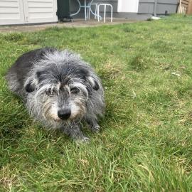 Photo for 158409 [Supernova]