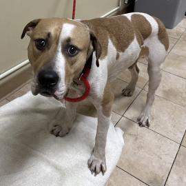 Photo for 158411 [384956]