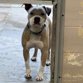 Photo for 158413 [Solene]