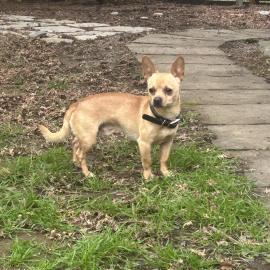 Photo for 158424 [fr158424]