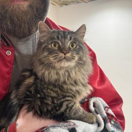 Photo for 158475 [fr158475]