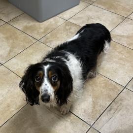 Photo for 158488 [Missy]