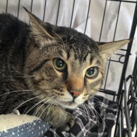 Photo for 158506 [Thomas]