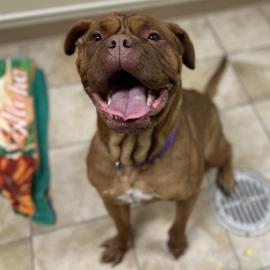 Photo for 158512 [385024]