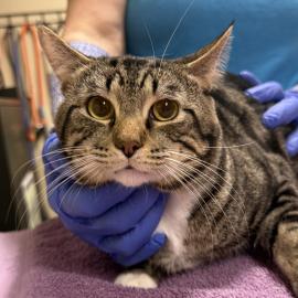 Photo for 158530 [October]