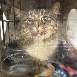 Photo for 158538 [385272]