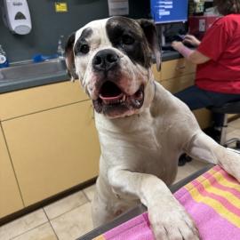 Photo for 158540 [385307]